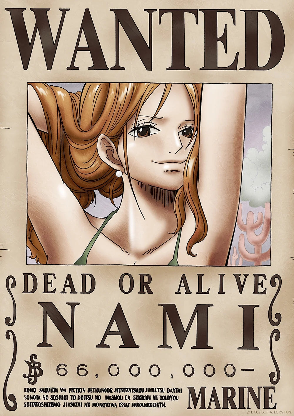 Nami Wanted (One Piece) Tin Poster (30x20cm)