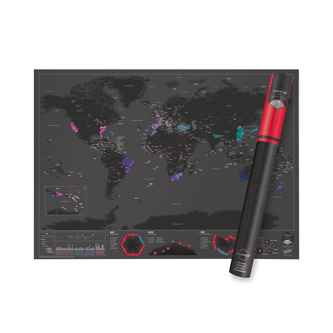 Fun Trip Capitals Edition