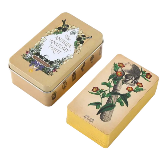 The Antique Anatomy Tarot Metal Box