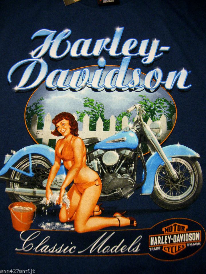 Harley Davidson Tin Poster (40x30cm)