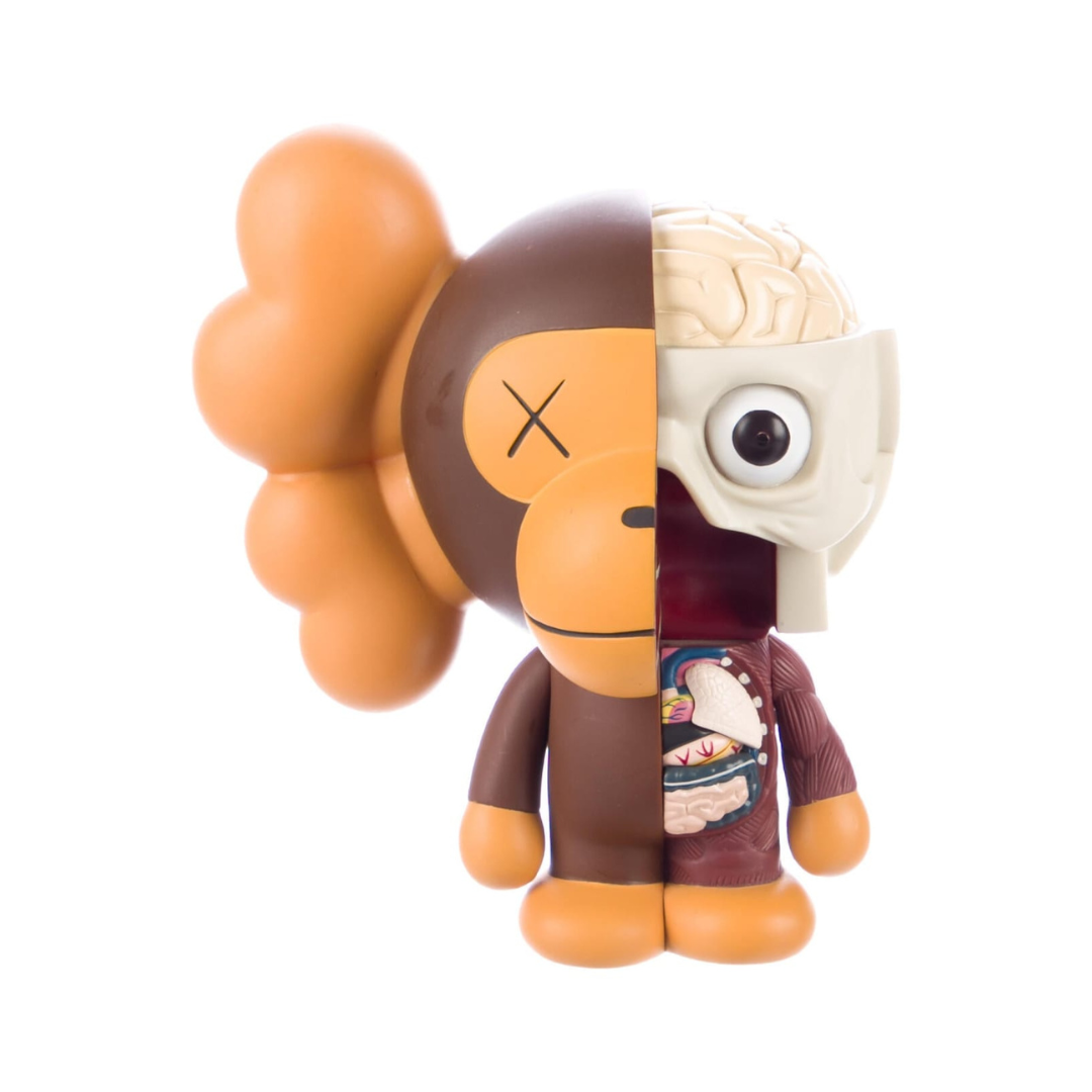 Milo Dissected Kaws