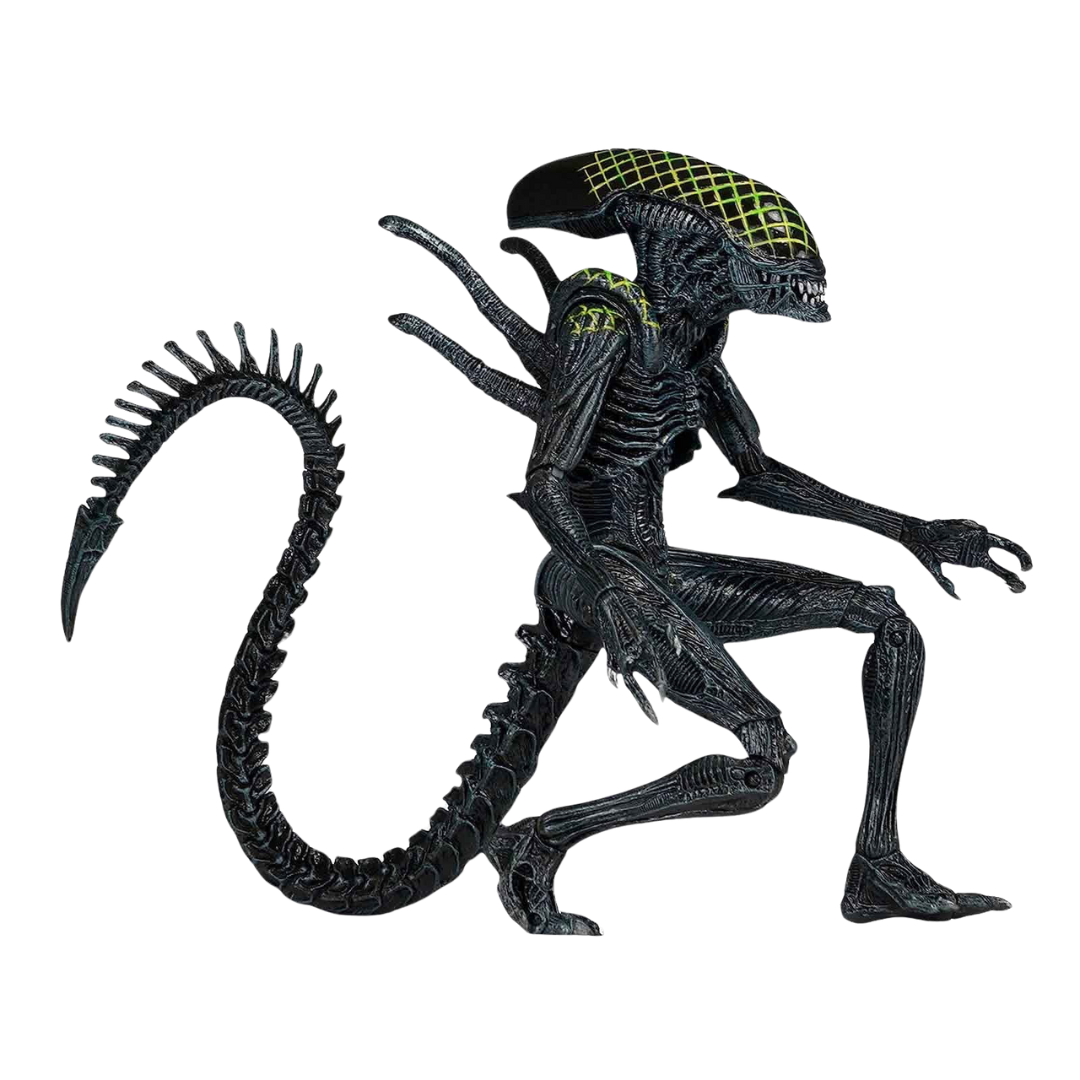 NECA Grid Alien Xenomorph Aliens vs Predator 7" Action Figure Series 7