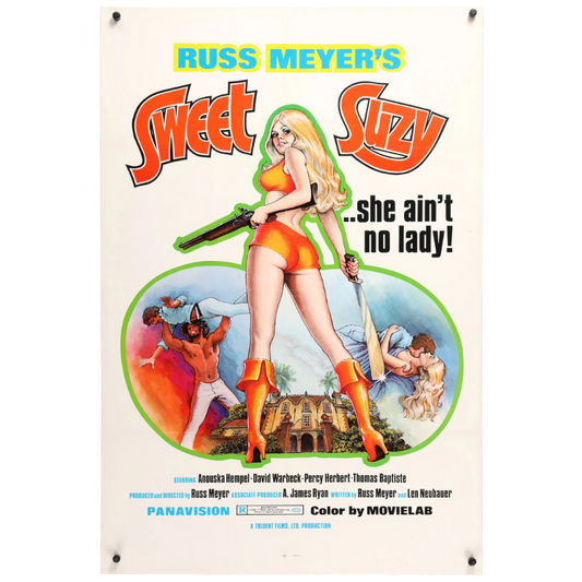 Russ Meyer's Sweet Suzy and Black Snake Tin Poster(20x30cm)